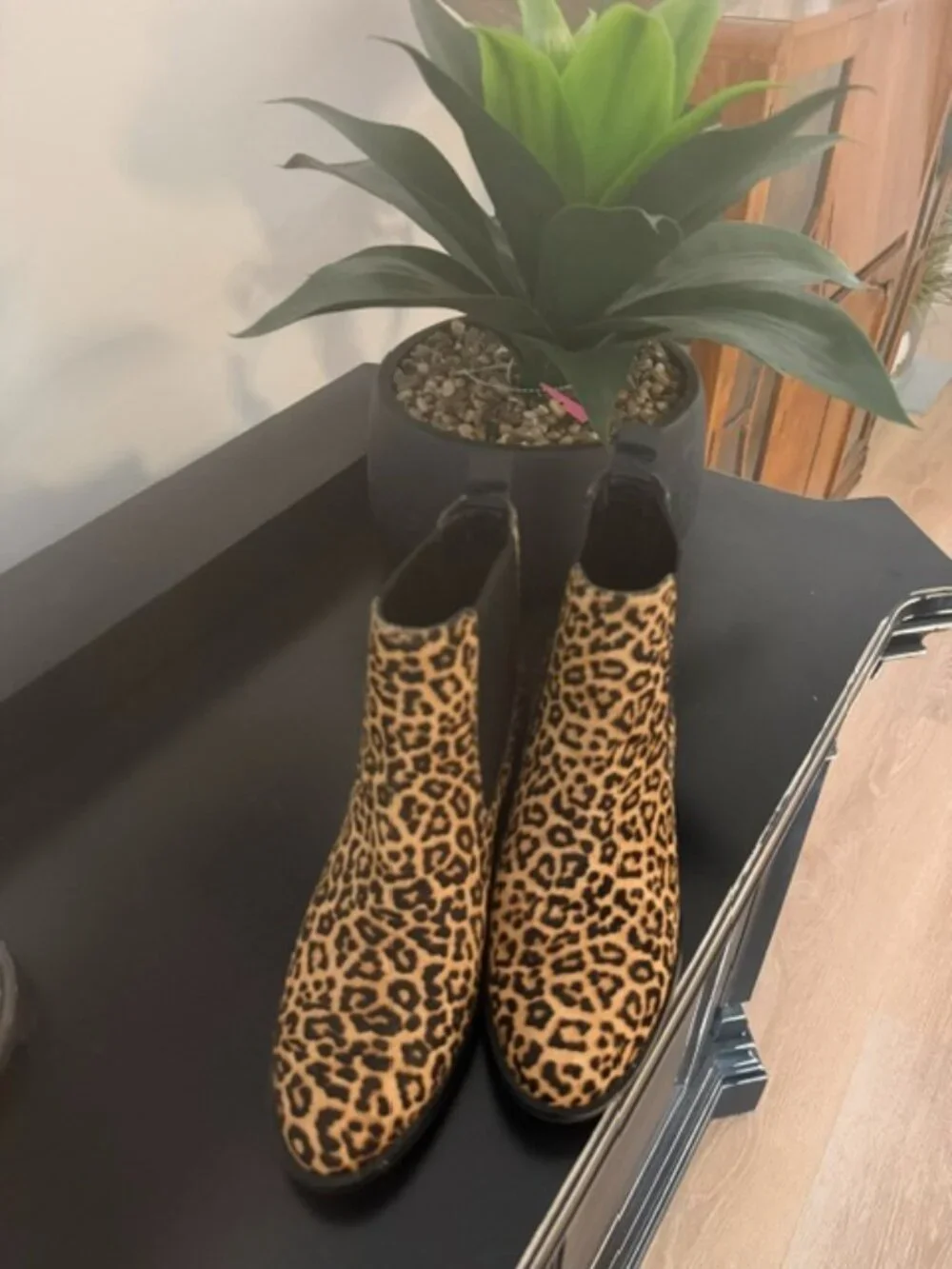Cole Haan Leopard Low Boot